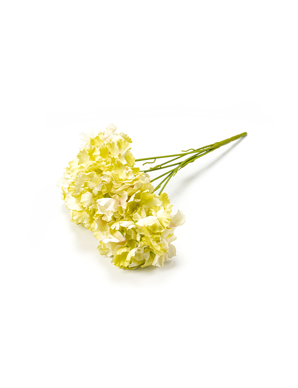 Golden Bloom
