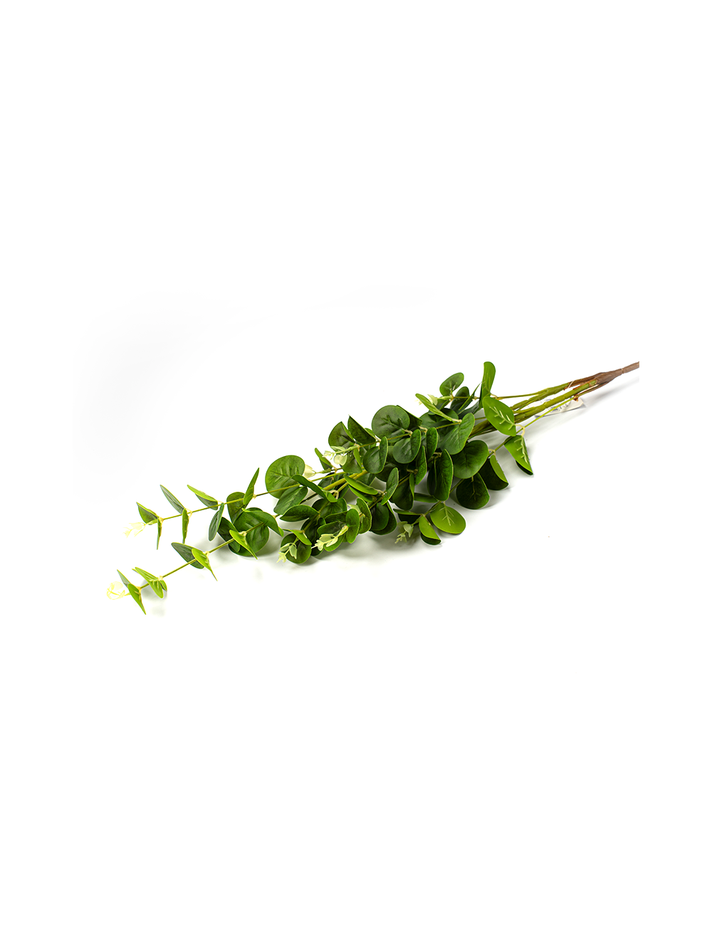 Evergreen Charm
