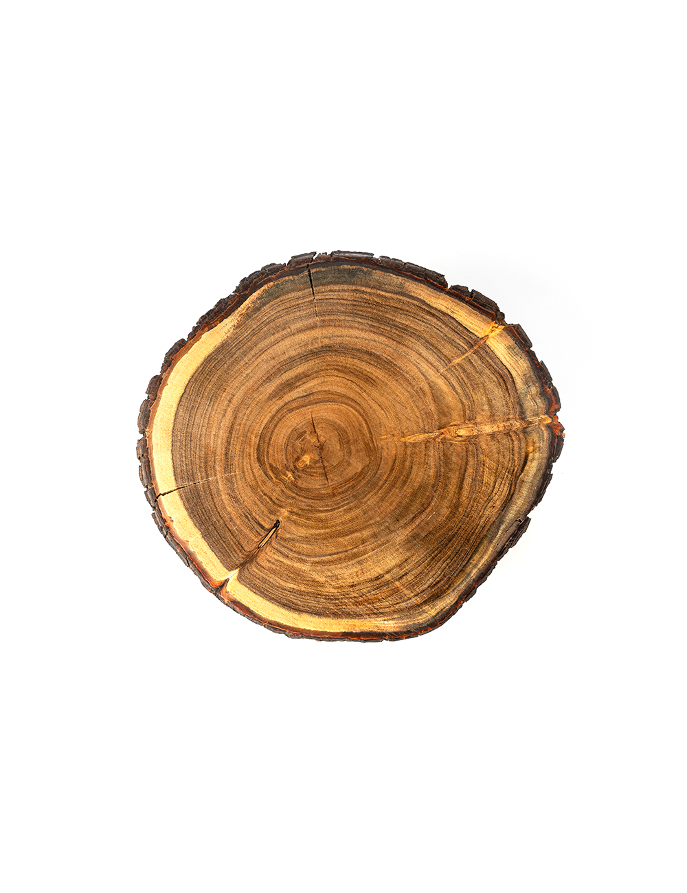 A Coffee Cake Stand with a circular rich wood top and stainless steel legs, with a gold-colored tip on each leg.