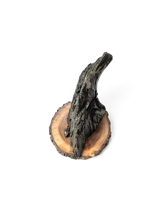 A brown wooden stand with a rough, natural texture and a polished finish, displayed against a white background.